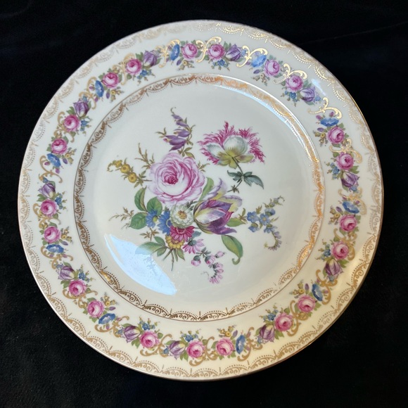 Rosenthal Dining Vtg 95 Plate Vienna By Rosenthal Continental Ivory